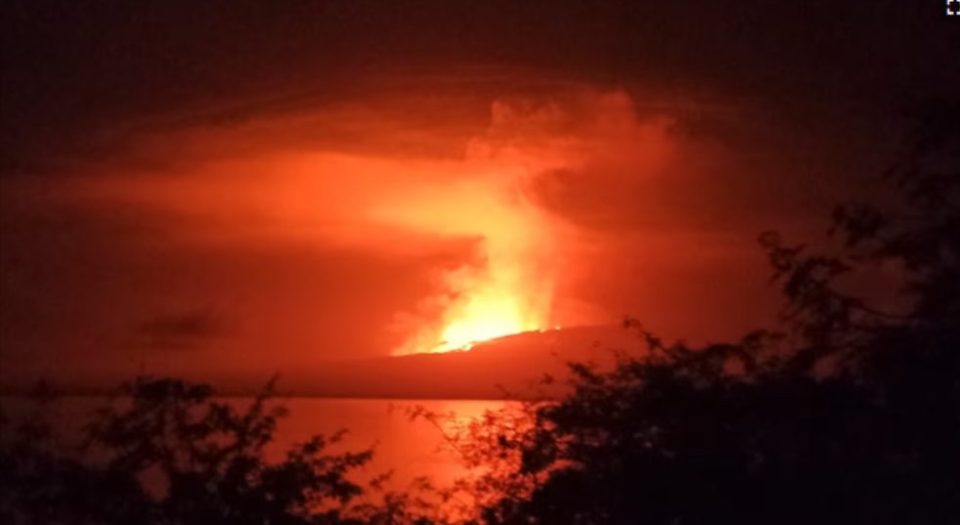 Gunung Berapi di Pulau Tak Berpenghuni di Galapagos Meletus