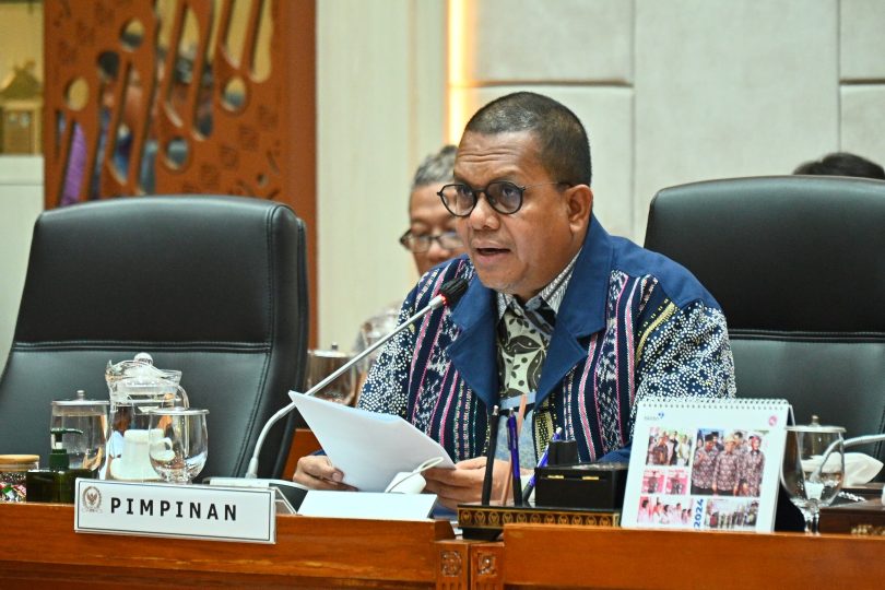 Dalam Rapat Dengar Pendapat (RDP) dengan Dewan Pengawas dan Direktur Utama BPJS Ketenagakerjaan, selasa 2 juli 2024 (foto dpr.go.id)