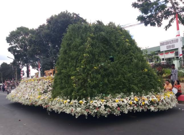 Menurunnya Peserta TIFF 2024, Ancaman bagi Petani Bunga Krisan Tomohon