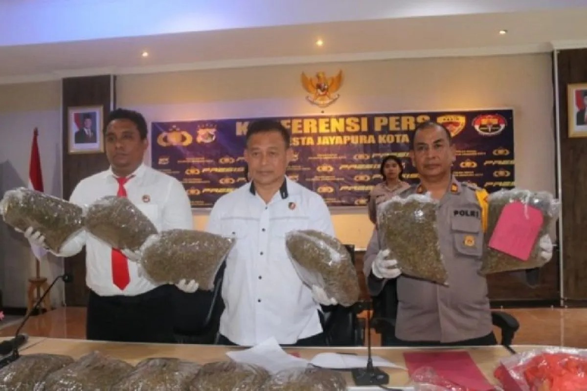 Polda Papua Sukses Amankan 85 Kilogram Ganja Asal Papua Nugini Sepanjang 2024