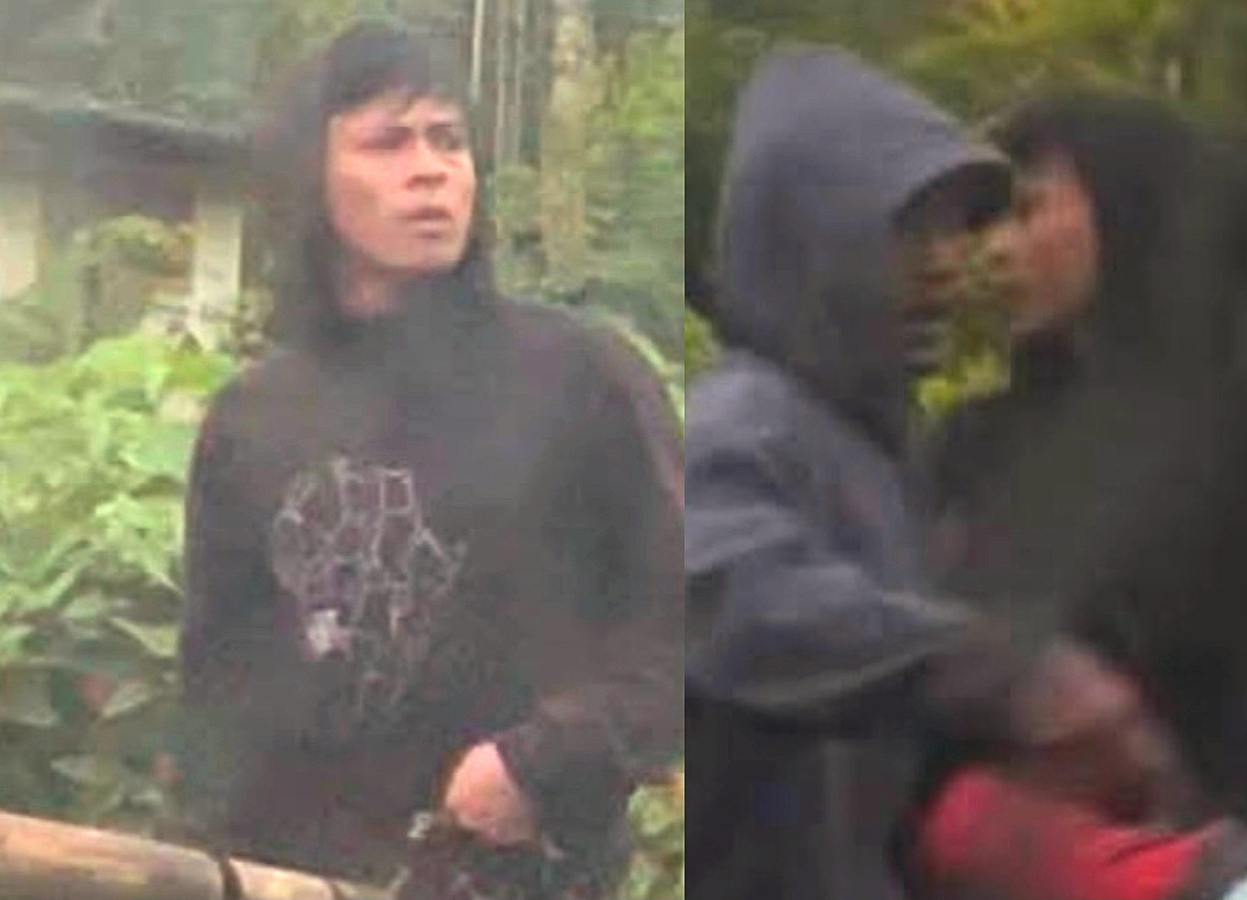 Teror Pencurian Anjing di Tomohon Kian Marak, Warga Desak Polisi Bertindak Tegas