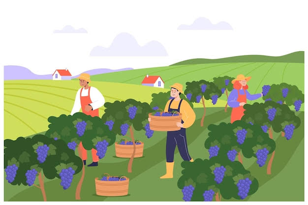 Langowan Canangkan Gerakan Tanam Pangan untuk Perkuat Ketahanan Pangan