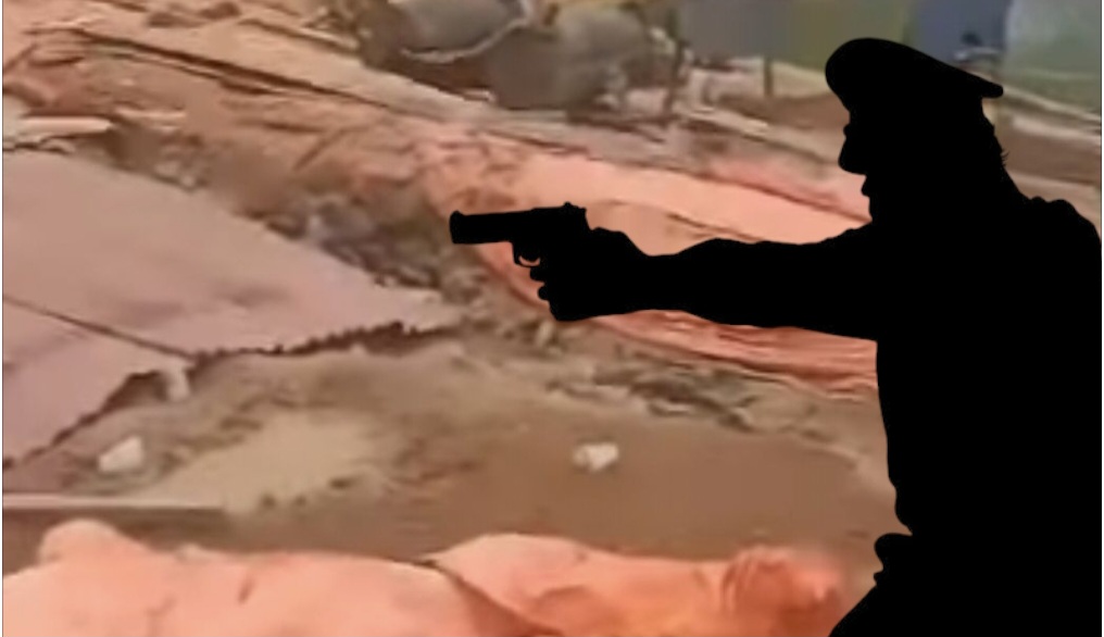 Nekat Masuk Tambang Ratatotok, Pria Diduga Penjarah Karbon Tewas Ditembak Polisi