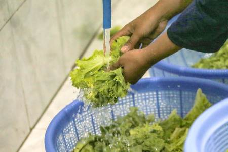 Pemerintah Percepat Sertifikasi Higiene dan Sanitasi untuk Dapur MBG