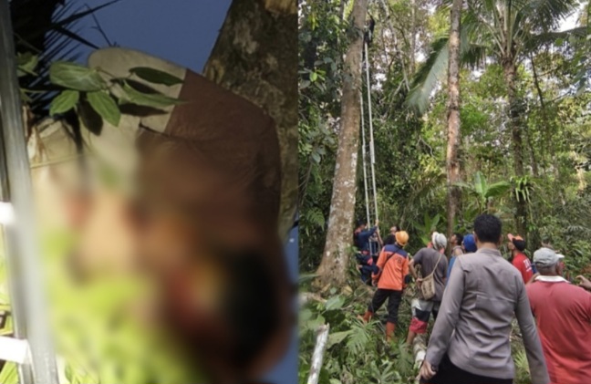 Tewas Terjepit di Atas Pohon, Pekerja Penebang Kayu Gemparkan Warga Sonder