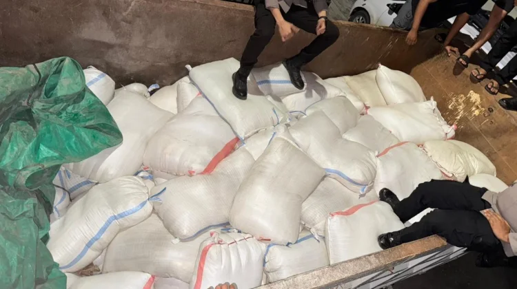 9,8 Ton Cap Tikus Asal Manado Disita dalam Operasi Pekat Mahakam 2026