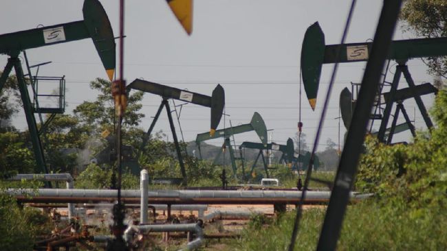 Pemerintah Tegaskan Swasembada Energi Makin Dekat