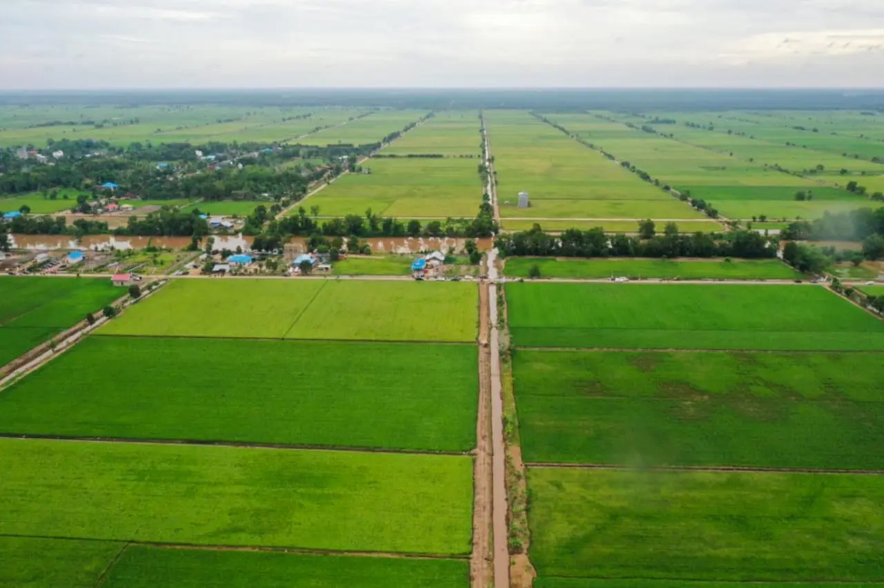 Pemerintah Perkuat Ekosistem Hilirisasi Pertanian